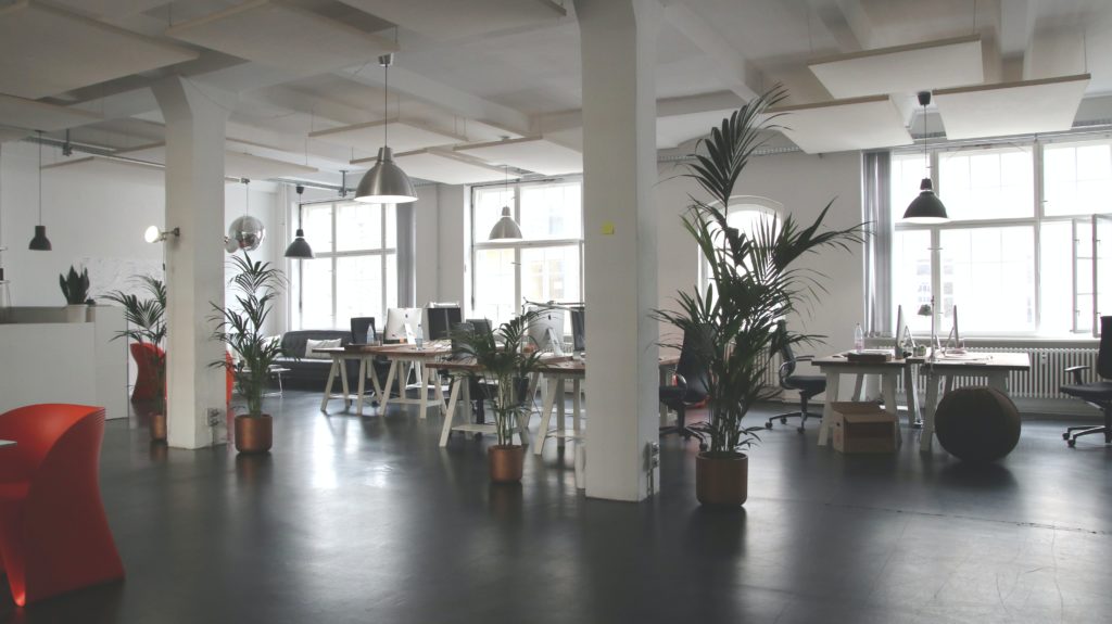 Office space with plants and high ceilings 
