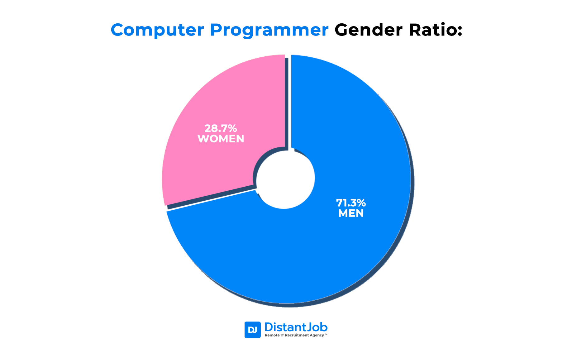 Computer programmer gender ratio