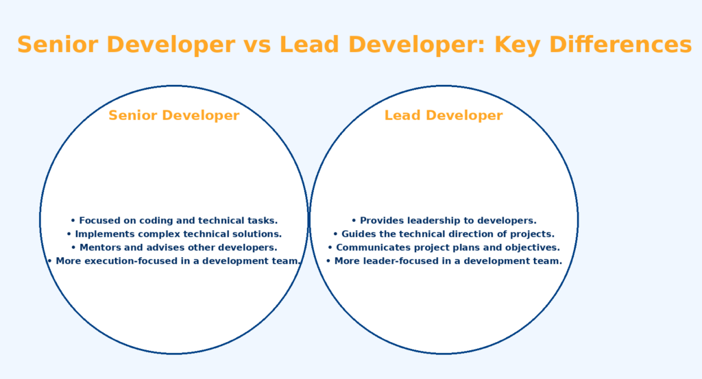 key differences explained between a senior and a lead developers