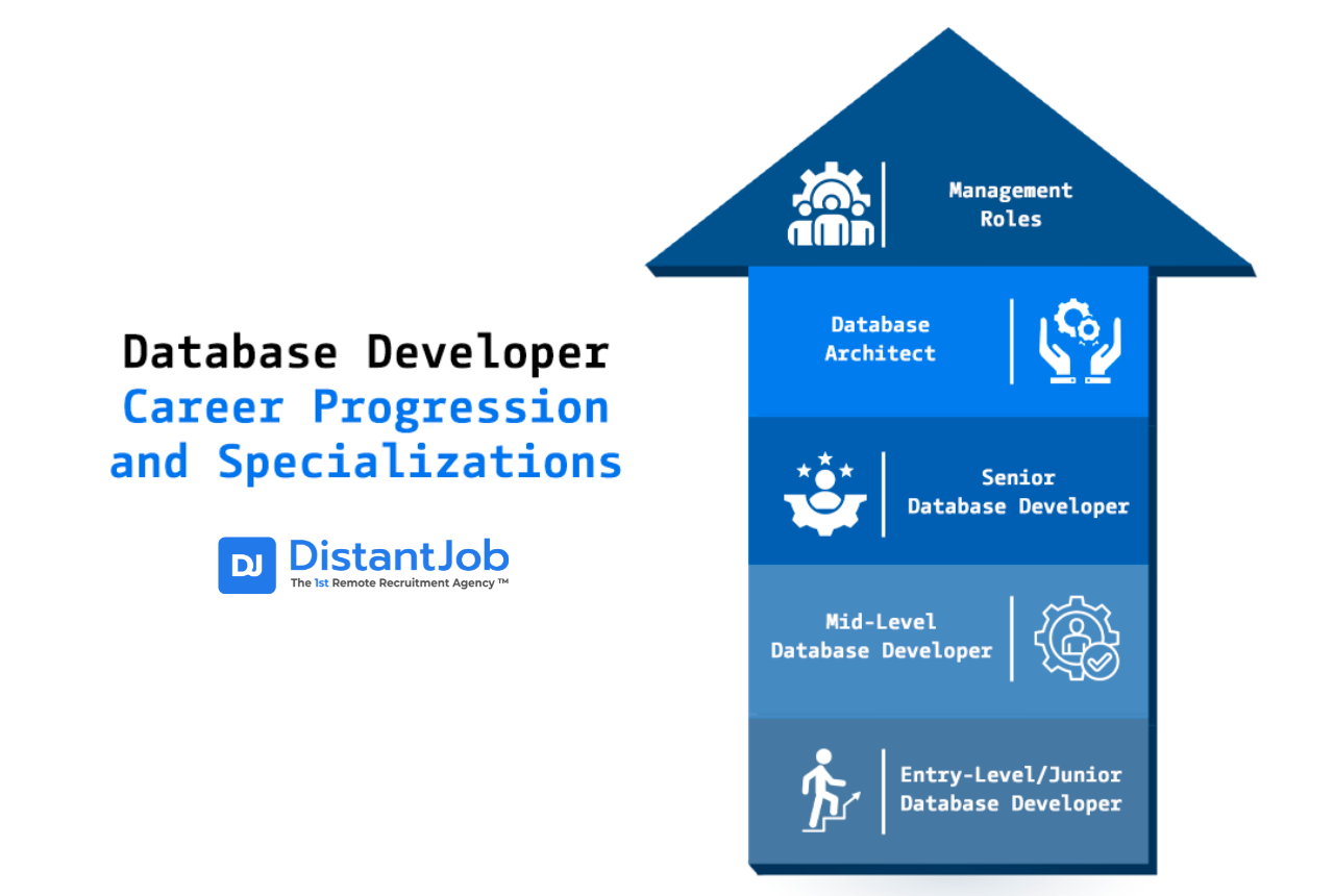 Database developer career progression and specializations showing roles from Entry-Level to Management, highlighting key database developer skills for growth.