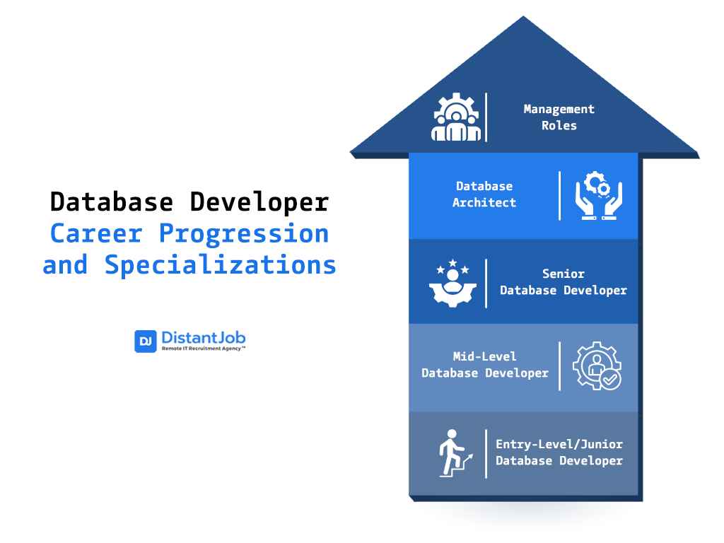 Database developer career progression and specializations