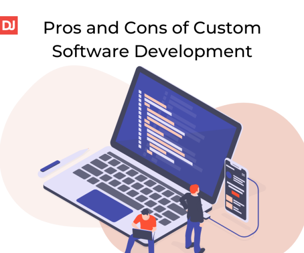 Custom software business