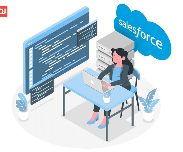 Hire a salesforce developer